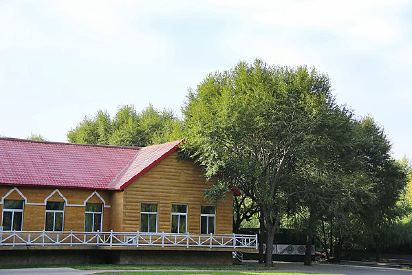 ����ľ������ľ��