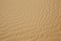 ɳĮ����������