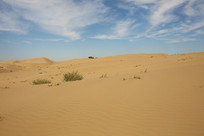 ɳĮ�������