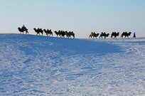 ɽ���ϵ��ն�