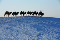 ѩ���ն��о�