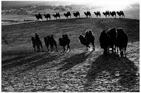 ѩ�����ն�