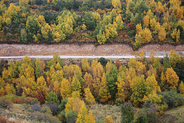 ���ɽ����ɫ������·