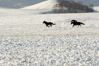 ��ס�Ŀ���