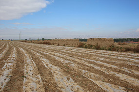 ��԰ׯ�ڵ�����