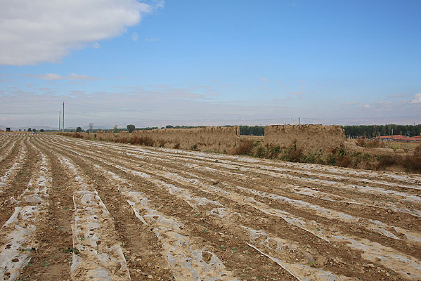 ��԰ׯ�ڵ�����