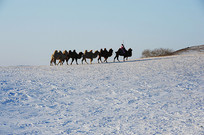 ���ڵ����ն�