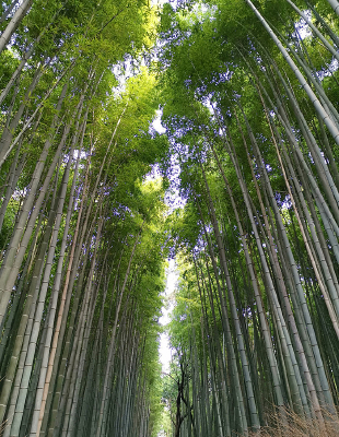 ������ë����