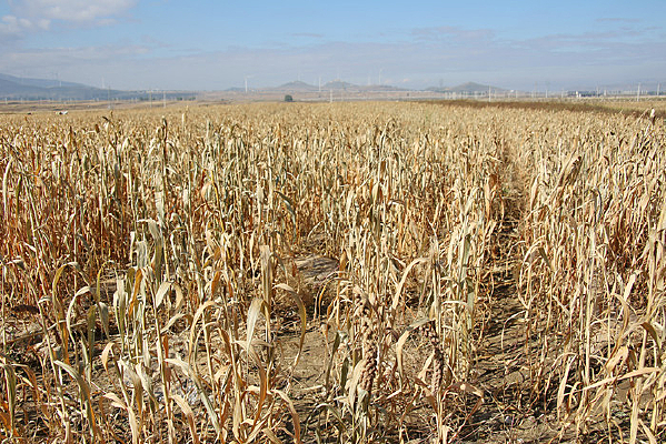 ���յ�ׯ�ڵ�