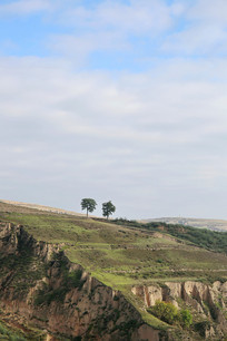 ��ԭ��ò������ԭ 