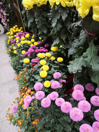 ��ʽ����