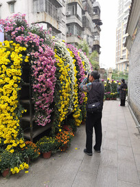 �ջ�ǽ�����ŵ�����Ӱ������