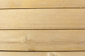 ʵľ