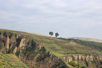 ������ԭ���ֵ�ò