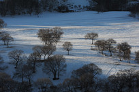 Ϧ����ѩ��