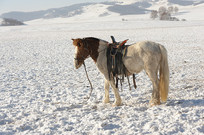 еİ