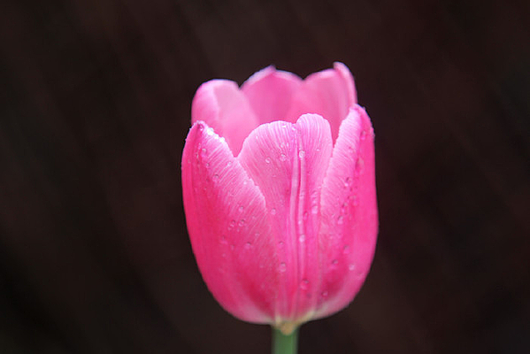 ������¶ˮ����