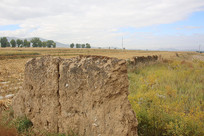 ׯ�ڵ���ų�ǽ