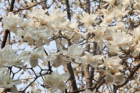 ������������