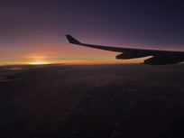 �ճ�����