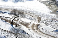 ����ӡ��