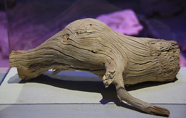 ����ľ������