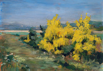  ��ȸ�����ͻ�