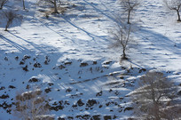 ѩ��С���Ĺ�Ӱ