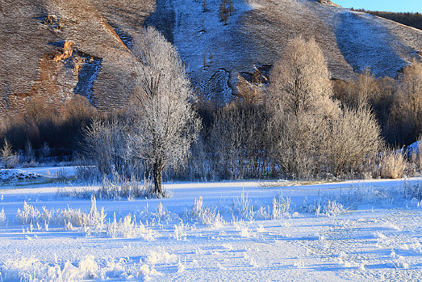 �ֺ�ѩԭ��ѩ����