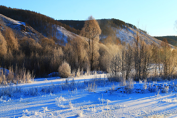 �ֺ�ѩԭ����