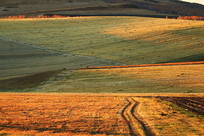 ����ԭҰ���� 