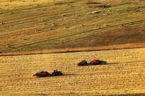 ��ɫ��ũ��