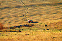 ��ɫ��ũ�����һ������