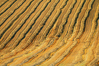 ��ɫ��ũ���﹡