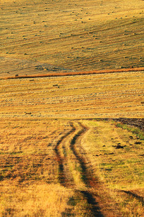 ��ɫ��ũ��һ������