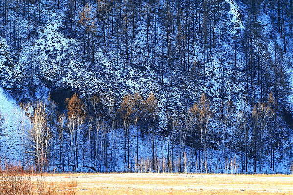 �ֺ�ѩԭ��ѩ����