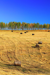 �＾��Ұ���