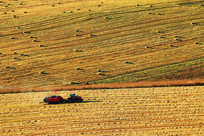 �＾��԰���