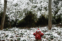 ѩ������˨