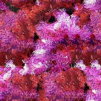 ����ۺ컨���ͻ�