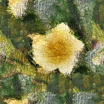 �����ɫ������д�ͻ�