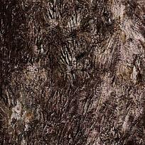 ����ɽ��ͼƬ�ز�