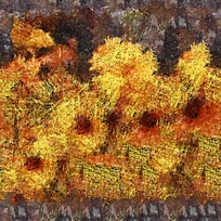 �������տ��ͻ�