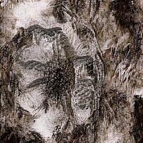 ���źڱ�������ˮīͼ