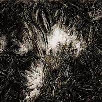 ˮīͼ