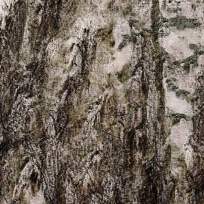 ��ɫˮī���ϵ�����Ⱦ