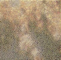 ��ɫ��������ͼƬ�ز�