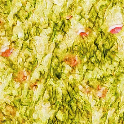 ��ɫǳ�̺��׺ˮ��ͼ