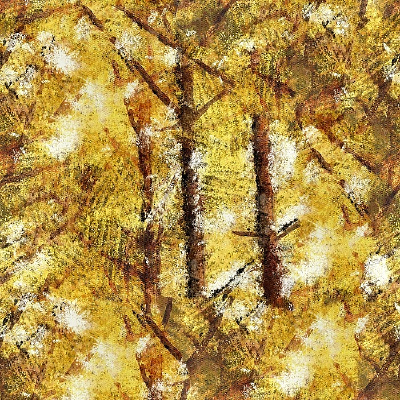 ��Ӳӵ�����ͼƬ