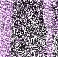ɫƤߵز